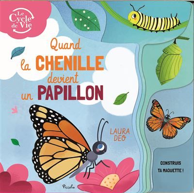 Quand la chenille devient un papillon Construis ta maquette !
