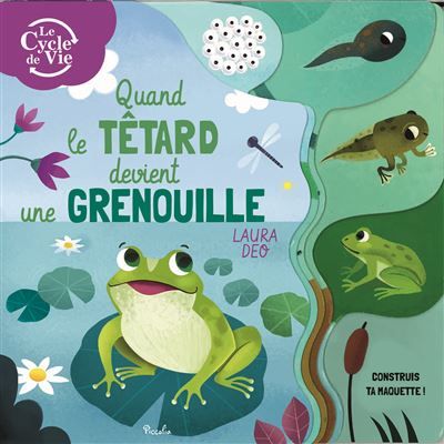 Quand le têtard devient une grenouille Construis ta maquette !