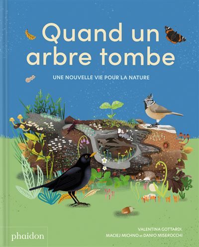 Quand un arbre tombe - Une nouvelle vie pour la nature
