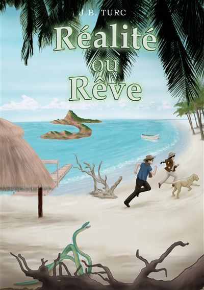 Réalité ou rêve - Jean-Benoit Turc - Books On Demand