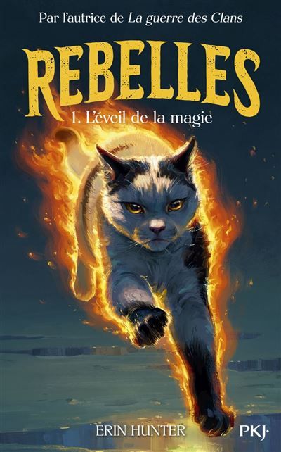 Rebelles - Tome 01 : La magie s'éveille