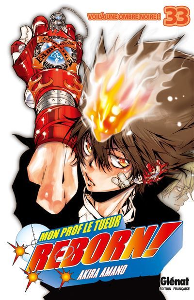 Reborn - Tome 33 Voilà une ombre noire !