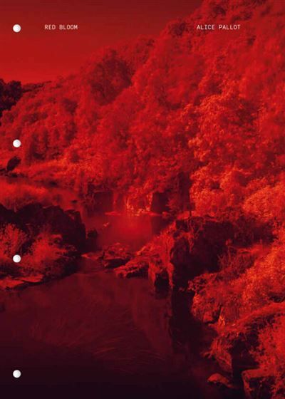Couverture de Red bloom par Alice PAILLOT