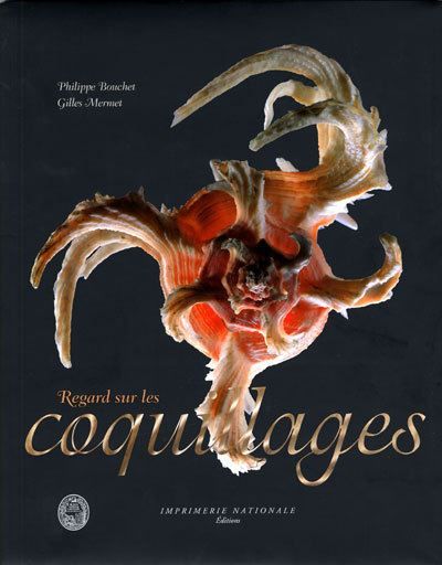 Regard sur les coquillages