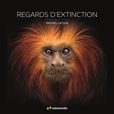Regards d'extinction