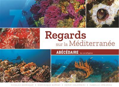 Regards sur la Méditerranée Abécédaire du corraligène Abécédaire du coralligène