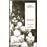 Requiem traduit du russe par Sophie Benechédition bilingueillustré de quatre photos, de trois gravures et d'un dessinprécédé d'une préface