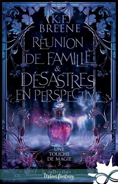 Réunion de famille & désastre en perspective Une touche de magie, T3
