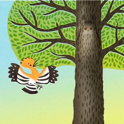 Roiseaux Livre avec 1 CD audio