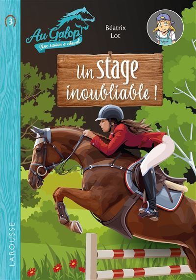 Roman AU GALOP, une année à cheval - Un stage inoubliable