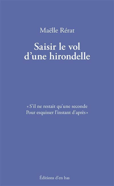 Saisir le vol d'une hirondelle