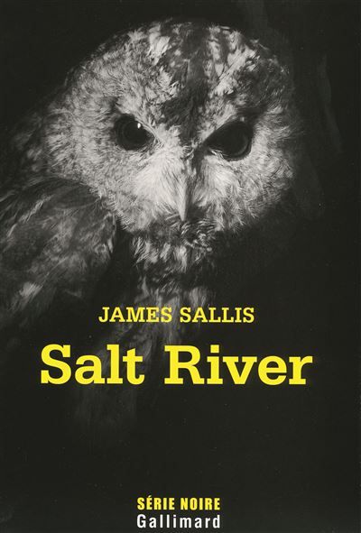 Salt River Une enquête de John Turner