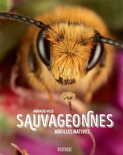 Sauvageonnes Abeilles natives