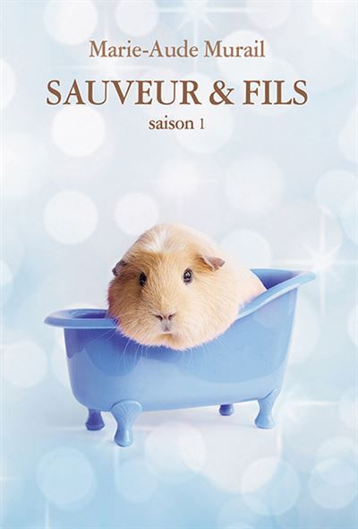 Sauveur & fils - Saison 1