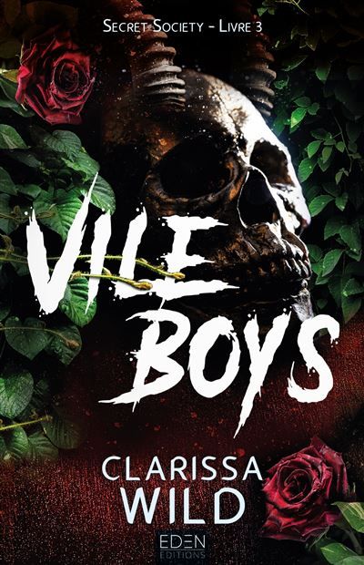Secret society T3 Vile Boys