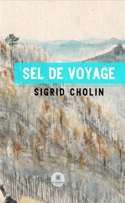 Sel de voyage