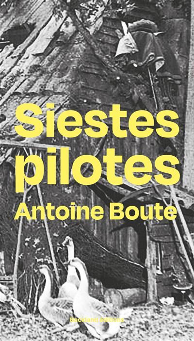 Siestes pilotes