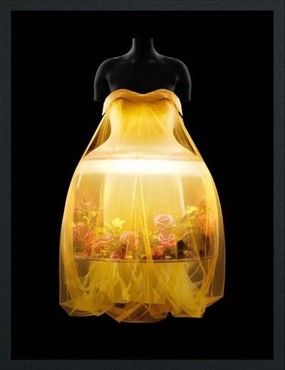 Sleeping Beauties Reawakening Fashion