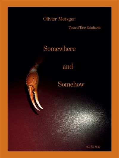 Somewhere and somehow - Olivier Metzger