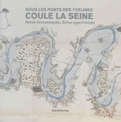 Sous les ponts domestiques coule la Seine