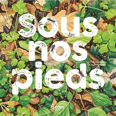 Couverture de Sous nos pieds Mes premiers albums par Léa Schneider
