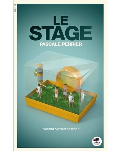 Stage (le)