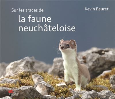 Sur les traces de la faune neuchâteloise