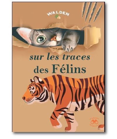 Sur les traces des Félins
