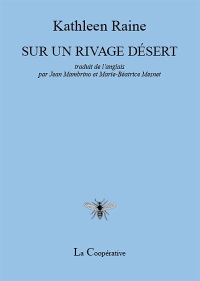 Sur un rivage désert