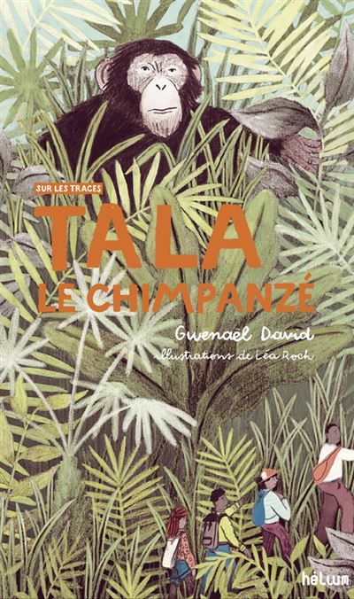 Tala, le chimpanzé Sur les traces