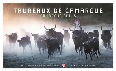 Taureaux de camargue - focus Camargue Bulls - Thierry Vezon
