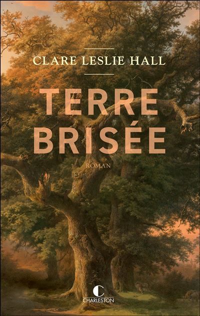 Terre brisée - Virginie Buhl