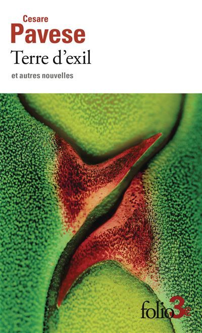 Terre d'exil et autres nouvelles