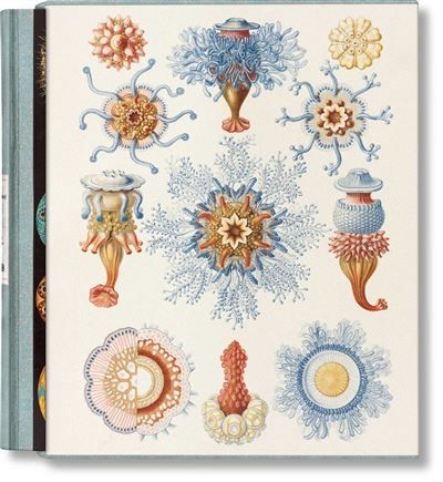 The Art and Science of Ernst Haeckel Edition trilingue français-anglais-allemand