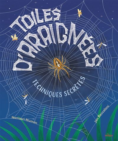 Toiles d'araignées : techniques secrètes