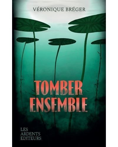 Couverture de Tomber ensemble par Véronique Breger