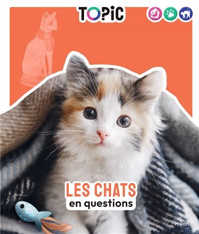 TOPIC - Les Chats en questions - Dès 7 ans En questions