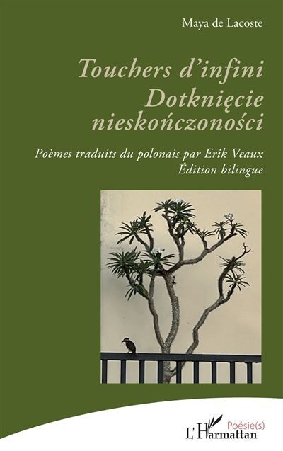 Touchers d’infini. Dotknięcie nieskończoności Édition bilingue