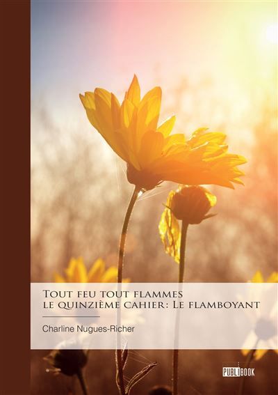 Tout feu tout flammes - le quinzième cahier : Le flamboyant
