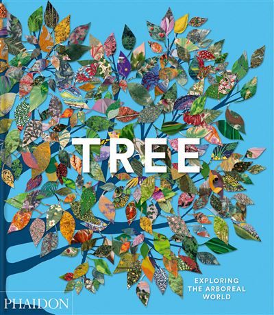 Tree Exploring the arboreal world