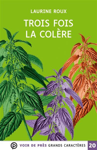 Trois fois la colere Grands caractères, édition accessible pour les malvoyants