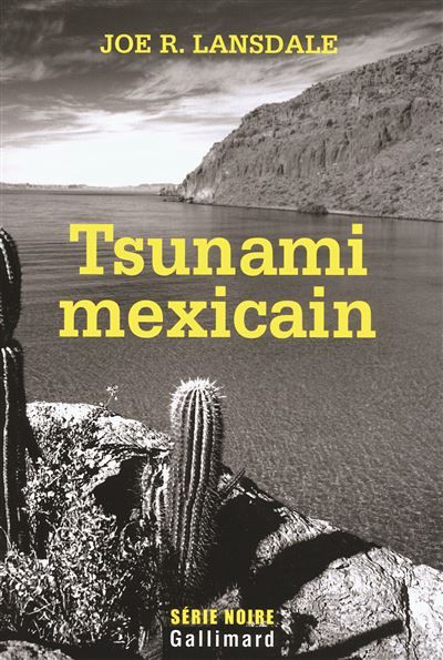 Tsunami mexicain Une enquête de Hap Collins et Leonard Pine