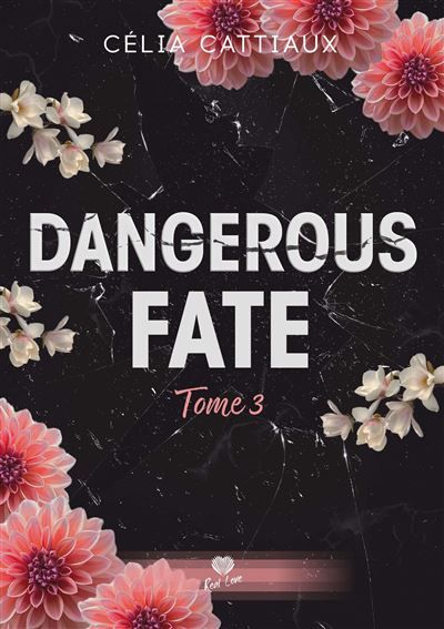 Tu es ma destinée Dangerous Fate - T03