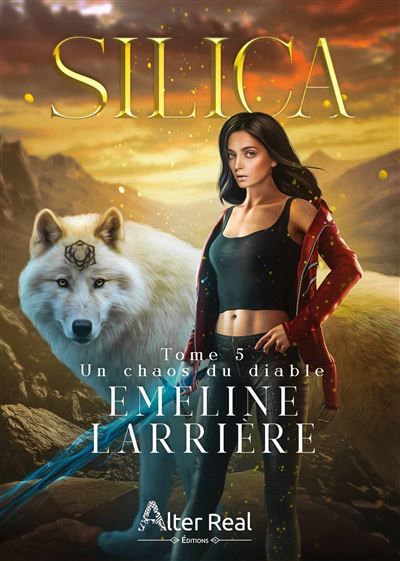 Un chaos du diable Silica - T05