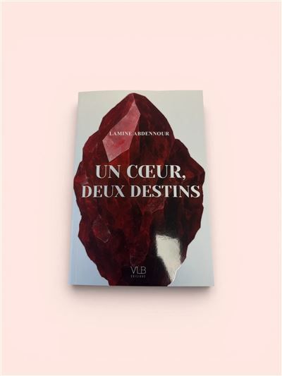 Un coeur, deux destins