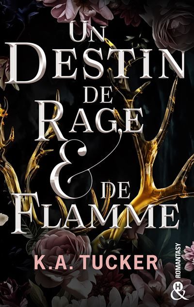 Un Destin de Rage & de Flamme Une romantasy fascinante, un amour interdit tout en tension