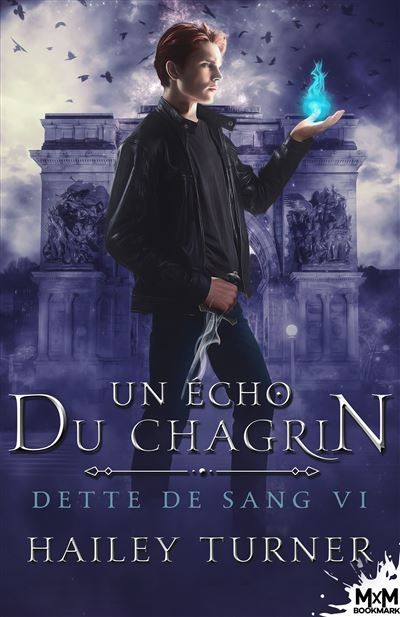 Un écho du chagrin Dette de sang, T6