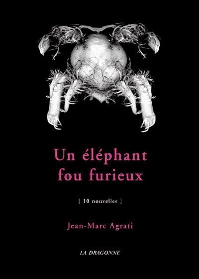 Un Elephant Fou Furieux 10 Nouvelles