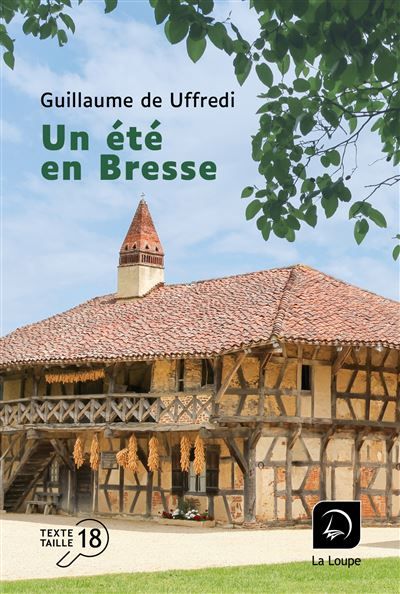 Un été en Bresse Edition en gros caractères
