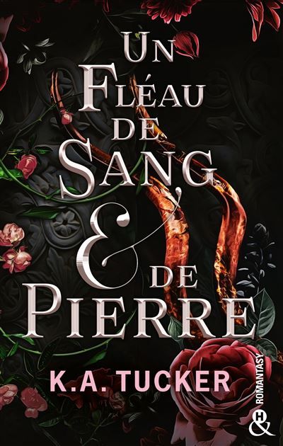 Un Fléau de Sang & de Pierre Une romantasy fascinante, un amour interdit tout en tension